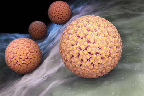 what is hpv virus